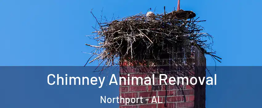  Chimney Animal Removal Northport - AL