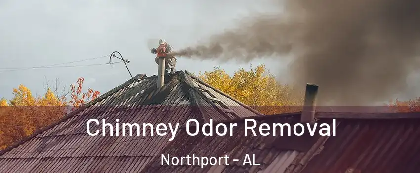  Chimney Odor Removal Northport - AL