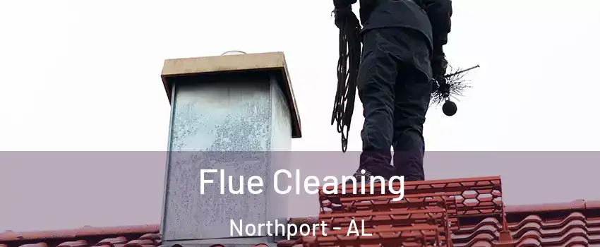  Flue Cleaning Northport - AL
