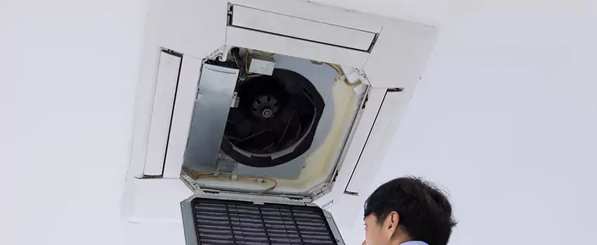 Benefits of Professional Air Duct Cleaning in Northport, Alabama